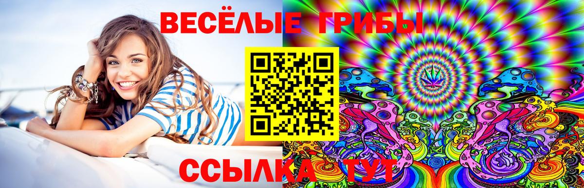 Псилоцибиновые грибы ЛСД  Псилоцибиновые грибы мухоморы  Приморско-Ахтарск  Вход с VPN 